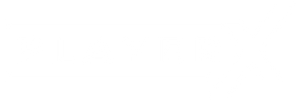 Player X