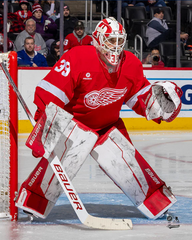 Pre-Order - Cam Talbot Autographed Detroit Red Wings Home 8x10 Photo