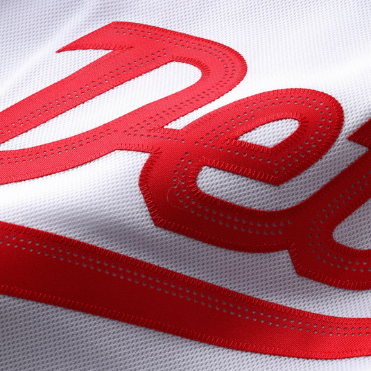 Detroit Red Wings Fanatics White 2025 NHL Stadium Series Premium Jersey