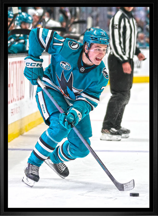 Macklin Celebrini 20x29 Framed Canvas San Jose Sharks
