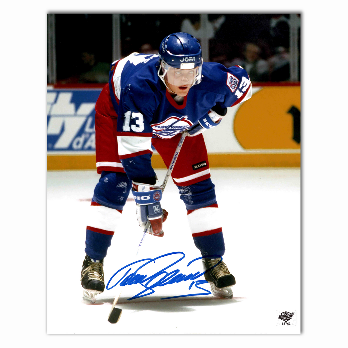 Teemu Selanne Autographed Winnipeg Jets Blue 8x10 Horizontal Photo